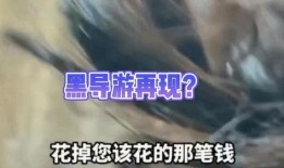 黑料今日黑料热门黑料导航 热点爆料马上爆料的软件,实时追踪热门爆料，一键掌握最新动态